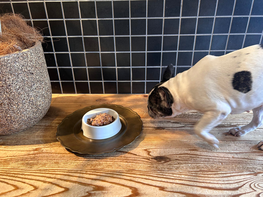 ついてくる愛犬、ついてこない時間